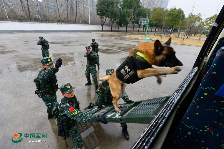 不只是刷机的故事：揭秘刷机大师的多面功能